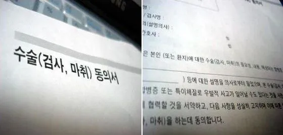 img_08013.jpg?type=w773