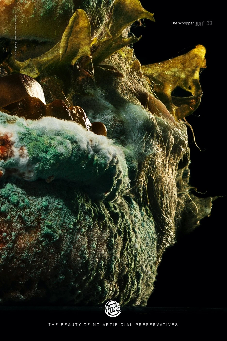 moldy_whopper_03_day_33_resized.jpg?type=w1
