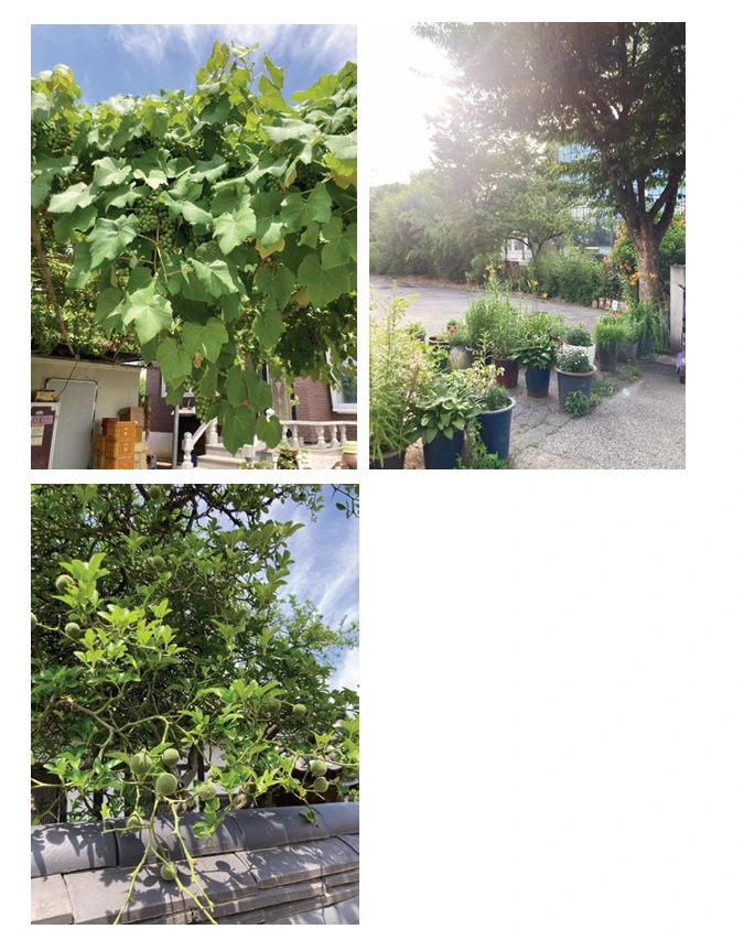 %EC%8A%A4%ED%81%AC%EB%A6%B0%EC%83%B7_2025-07-27_092023.png?type=w773