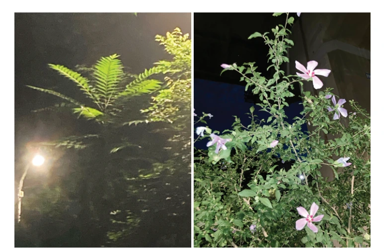 %EC%8A%A4%ED%81%AC%EB%A6%B0%EC%83%B7_2025-07-27_091933.png?type=w773