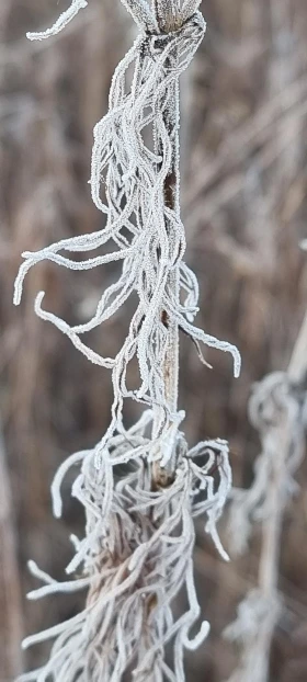 KakaoTalk_20220304_222523830_05.jpg?type=w773