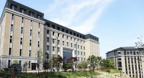 0004321504_001_20191207000100824.jpg?type=w647