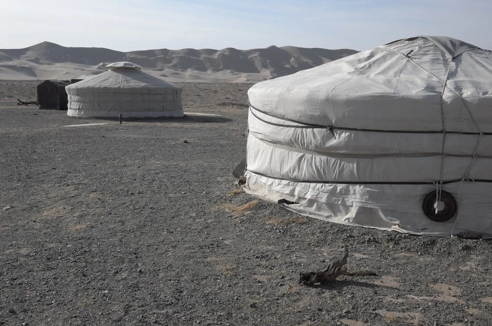 L9994346.JPG?type=w966