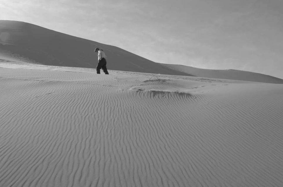 L9994310.JPG?type=w966