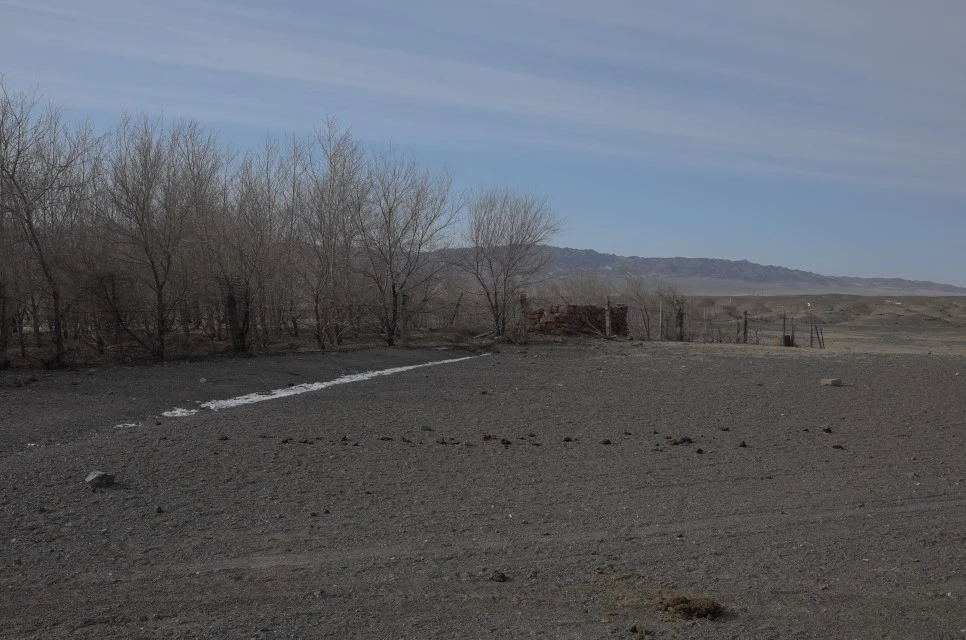 L9994264.JPG?type=w966