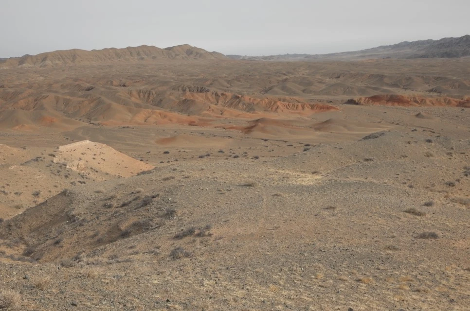 L9994272.JPG?type=w966