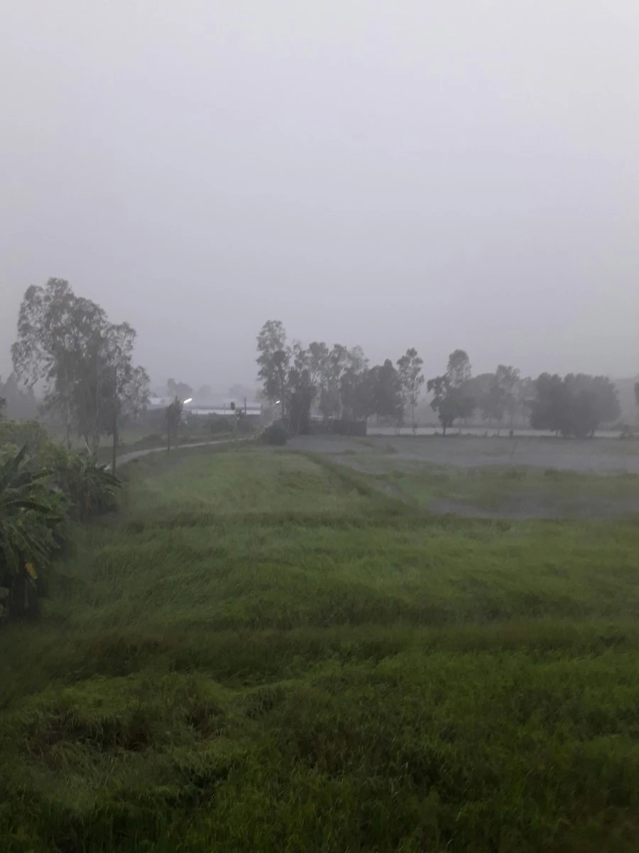 20160930_072612.jpg?type=w1