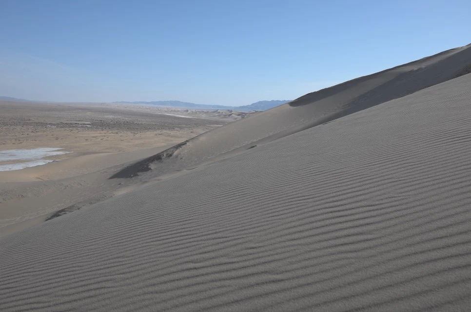 L9994339.JPG?type=w966