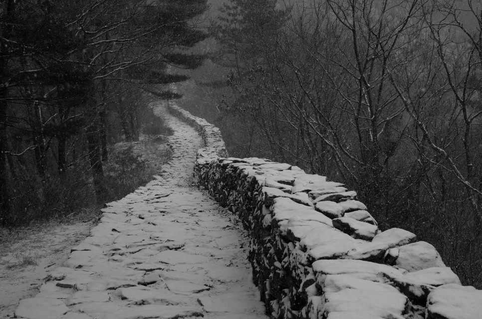 L9999161.JPG?type=w966