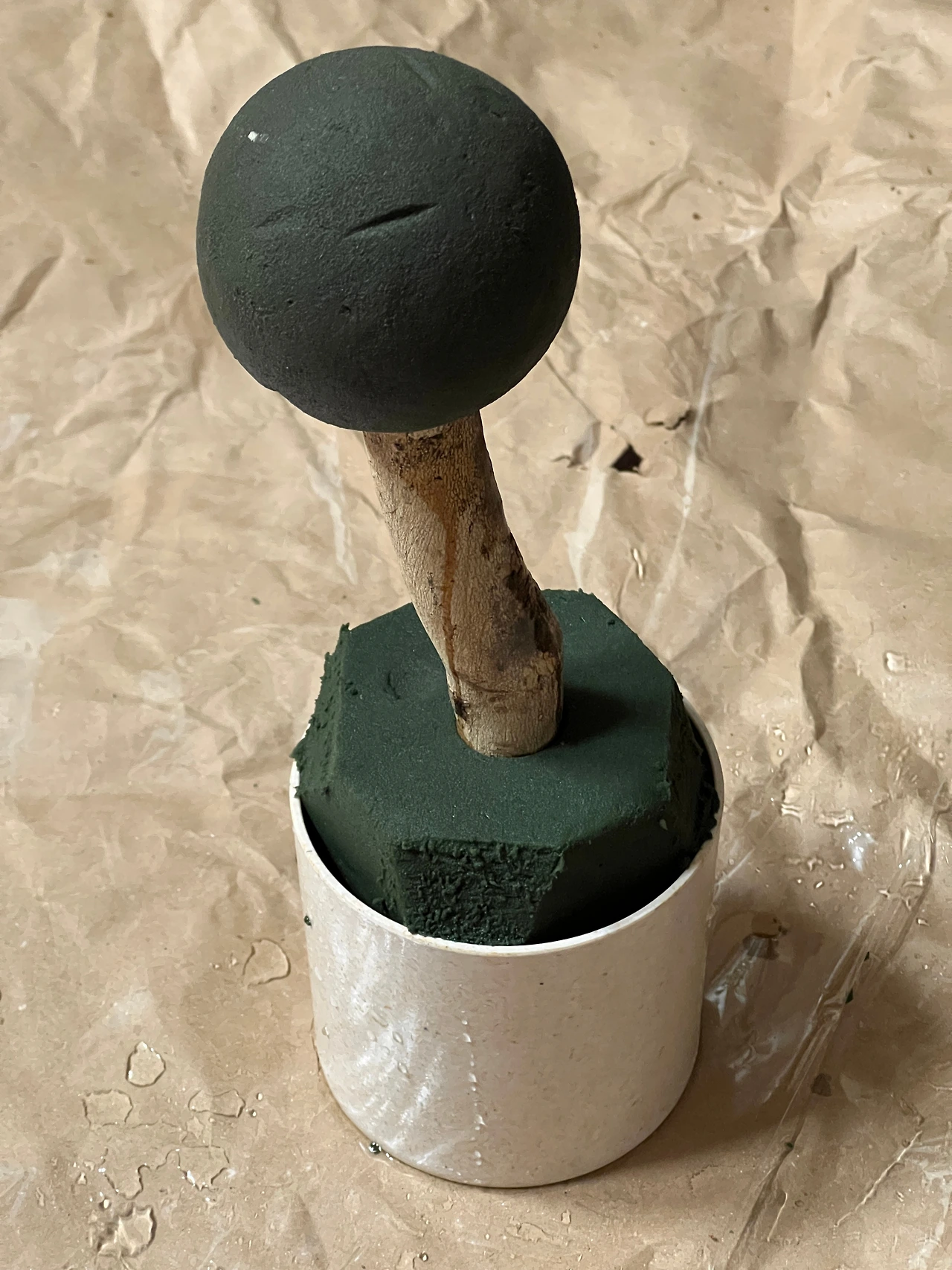 5토피어리 꽃나무 병원원예수업 숲체국 숲배달원.JPG