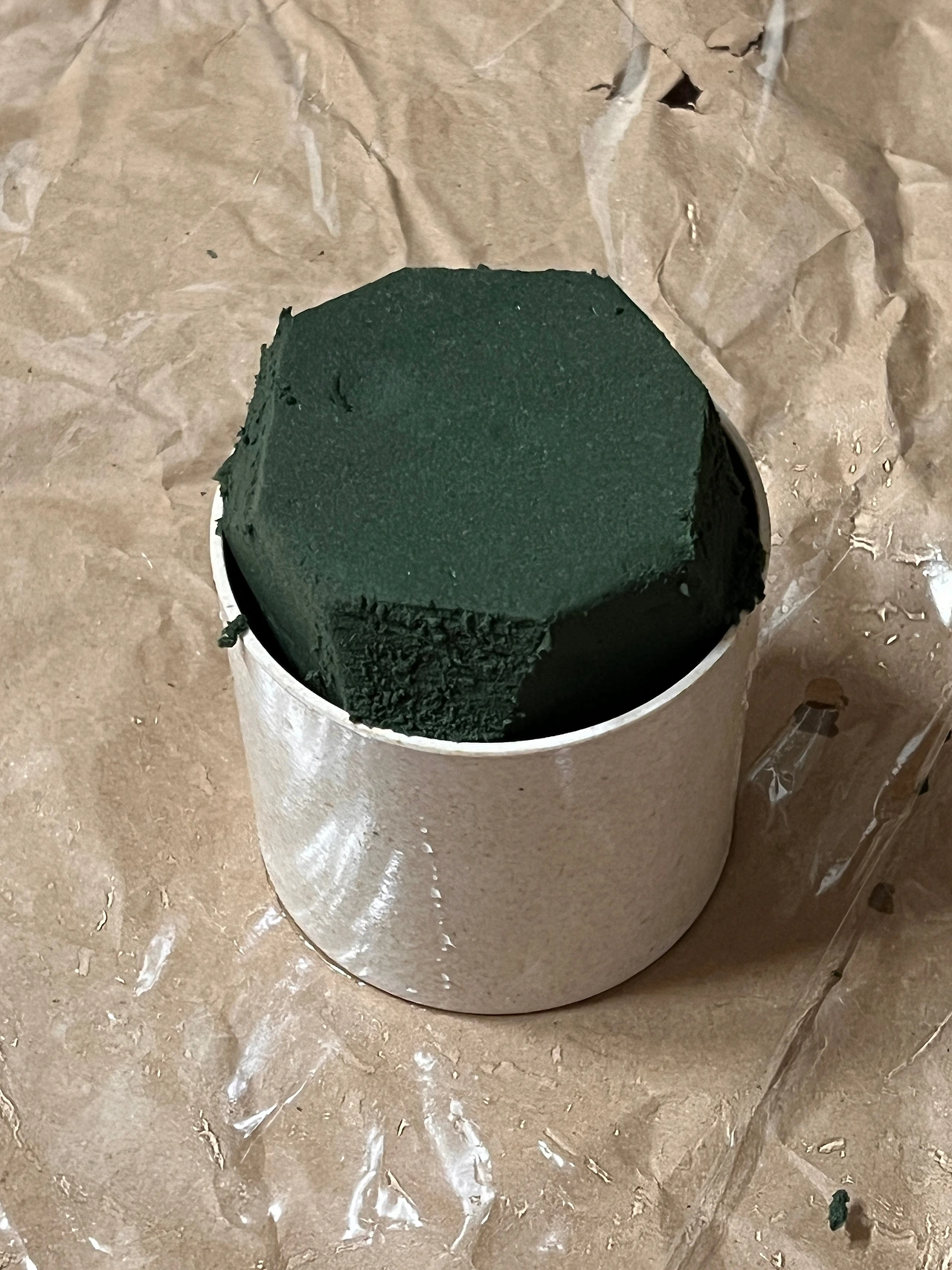 4토피어리 꽃나무 병원원예수업 숲체국 숲배달원.JPG