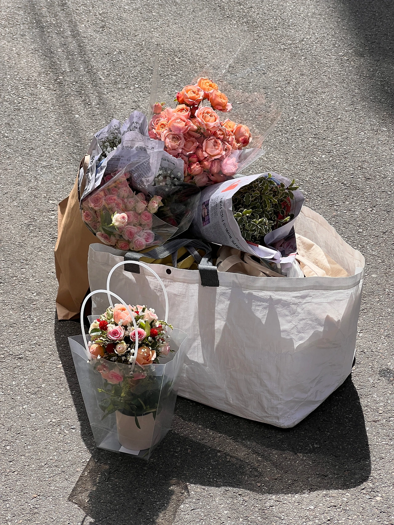 14토피어리 꽃나무 병원원예수업 숲체국 숲배달원.JPG