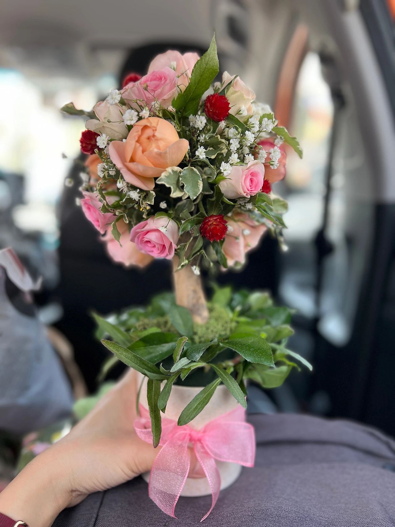 18토피어리 꽃나무 병원원예수업 숲체국 숲배달원.JPG