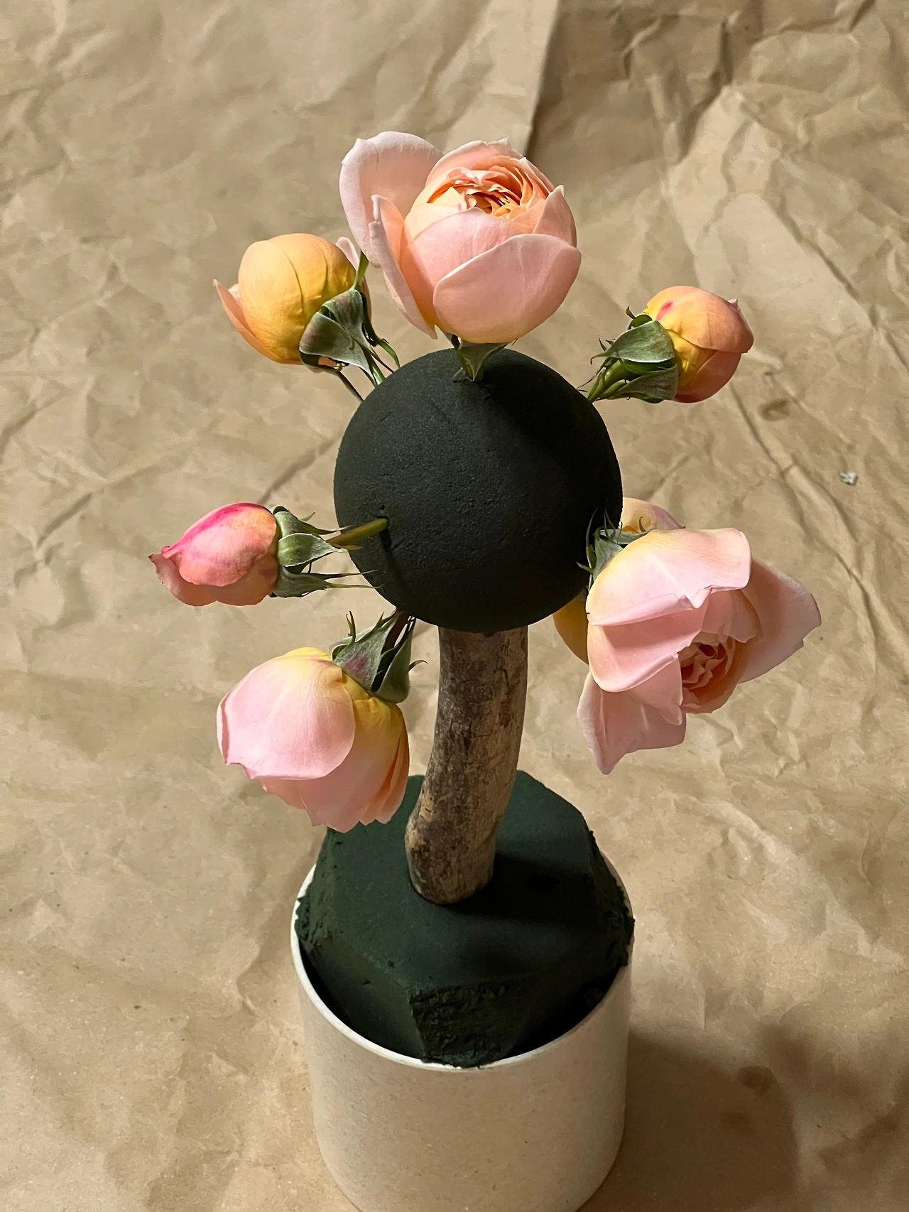 9토피어리 꽃나무 병원원예수업 숲체국 숲배달원.JPG