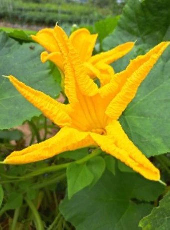 ?src=http%3A%2F%2Fblogfiles.naver.net%2FMjAyMzEwMTJfOTkg%2FMDAxNjk3MDc0ODcwMDkx._M7prdjB3bcmZDrwcOB-M0lvnOlgOA1xQusJQHVsb4kg.OzZl2MclfNkf3oU2w3O6Y__UBQtPMvJ6vACe8MryrwMg.PNG.tginsuck%2Fimage.png&type=a340