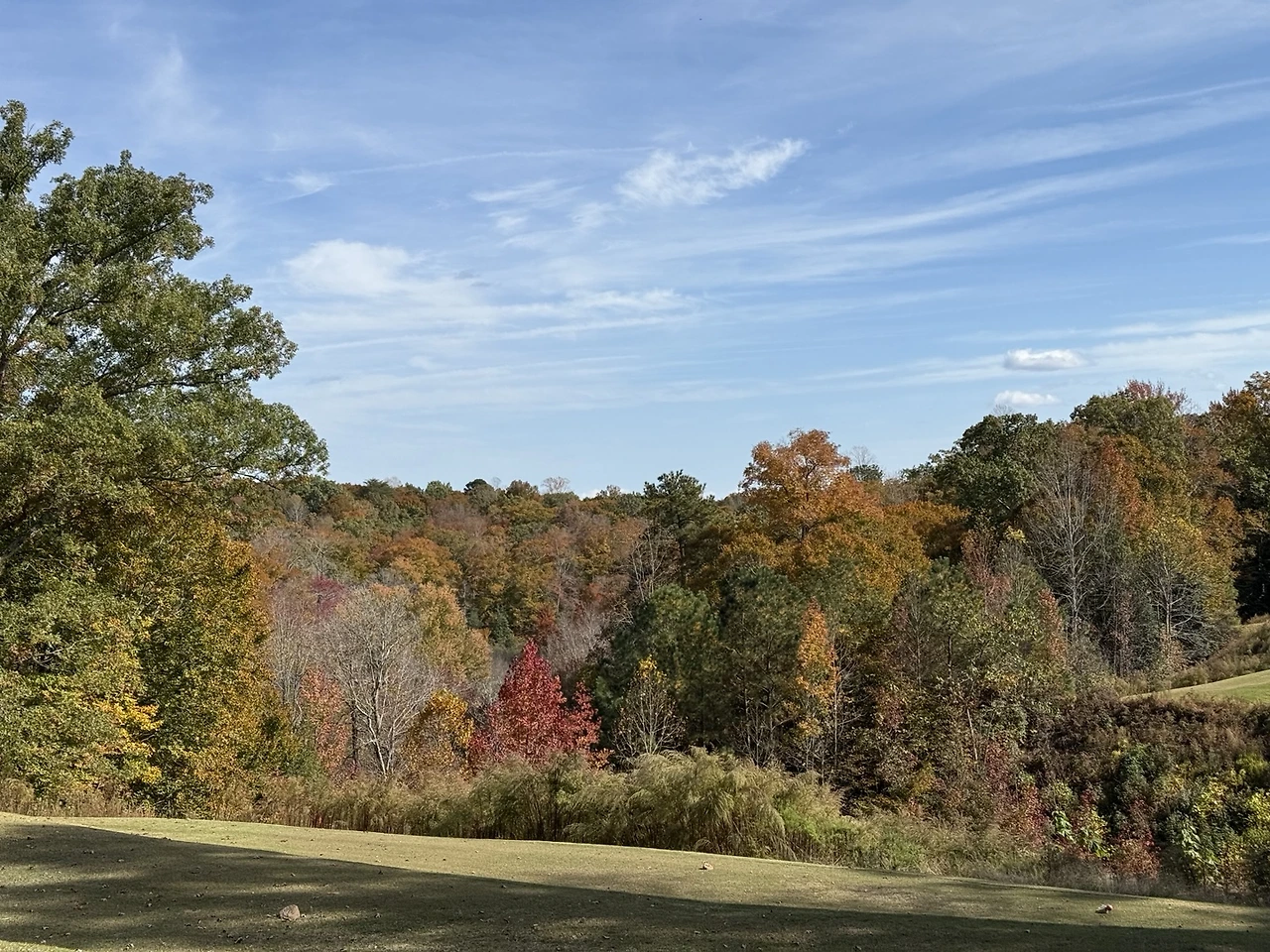 KakaoTalk_Photo_2024-11-02-13-25-35 003.jpeg