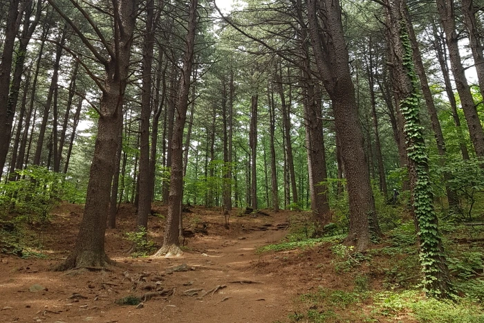 9436_37575_847.jpg?type=w1