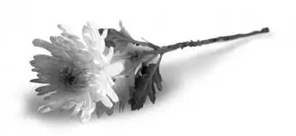 %EA%B5%AD%ED%99%94%EA%BD%83.jpeg?type=w1