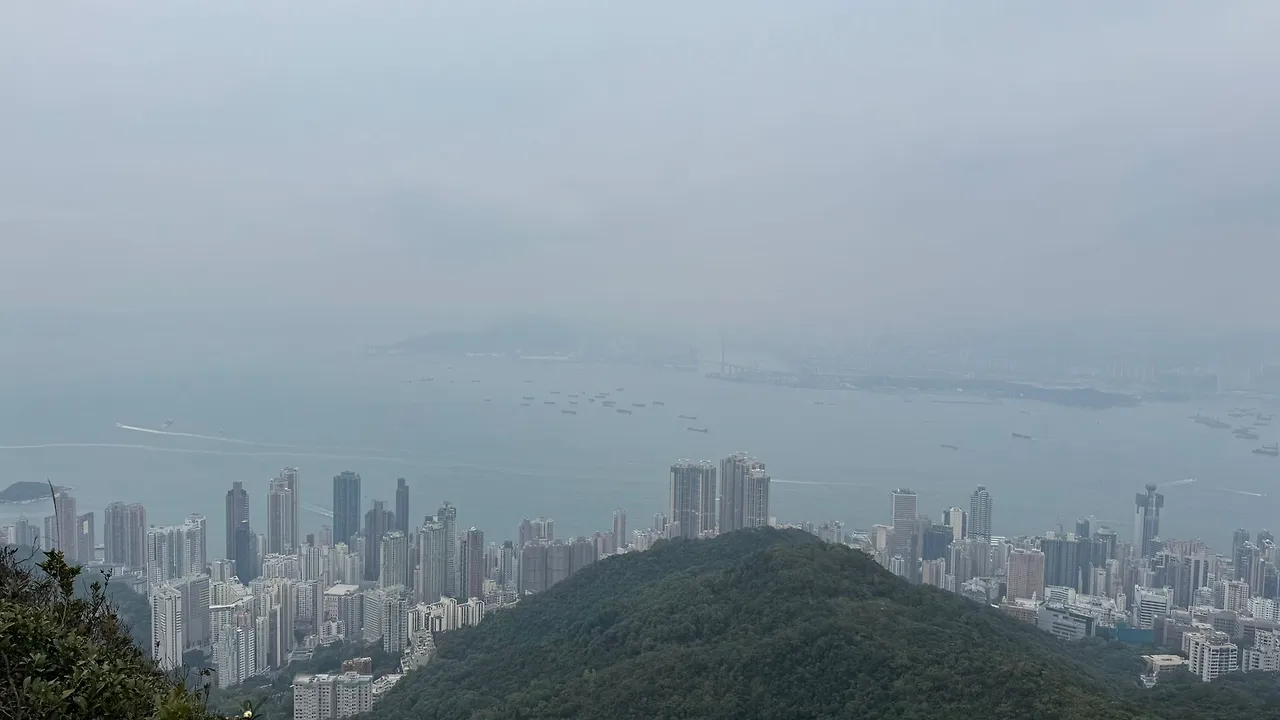 WhatsApp Image 2025-01-06 at 2.13.35 PM.jpeg