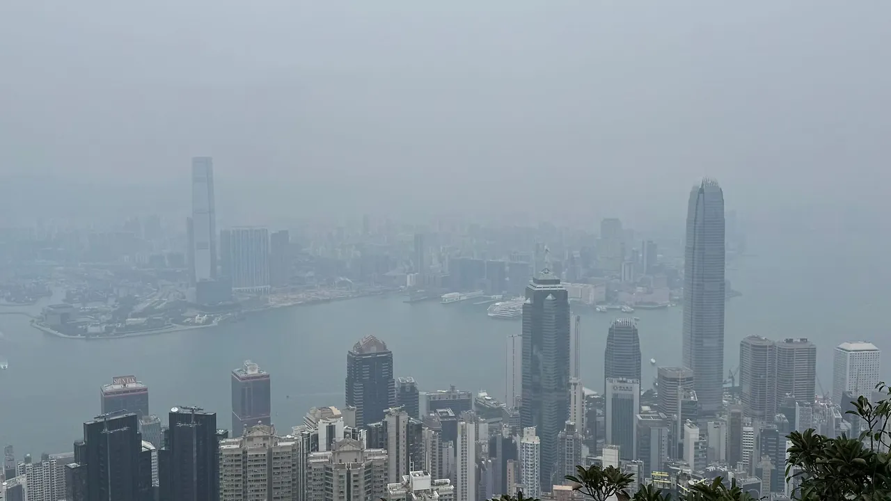 WhatsApp Image 2025-01-06 at 2.13.33 PM.jpeg