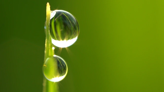 movie_image_(1).png?type=w1