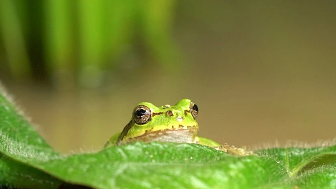 movie_image_(1).jpg?type=w1