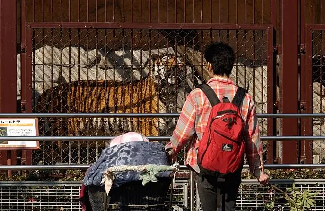 QmWzzqVbwfe5E5Rz5obz2Rs6mvPPsiuJXupBjRLDf2UHLC