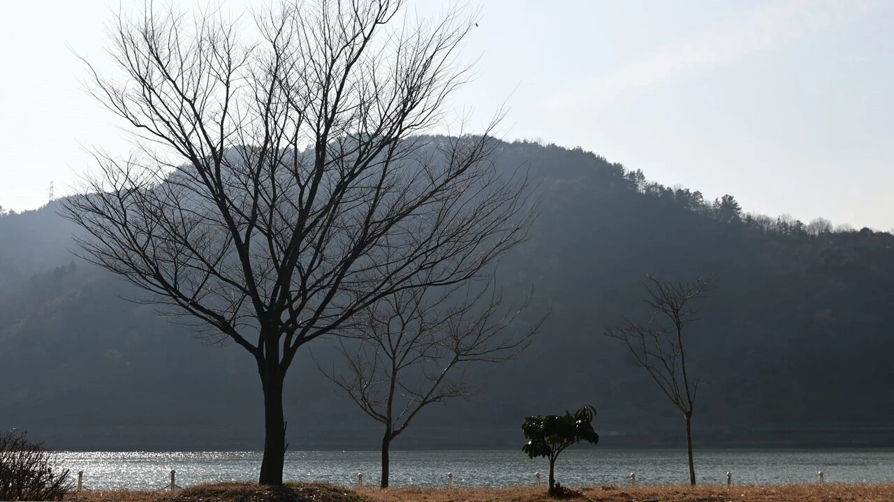 다운로드 (1).jfif