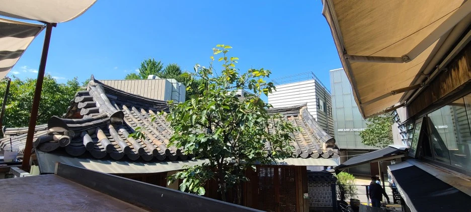 20200919_132840.jpg?type=w1