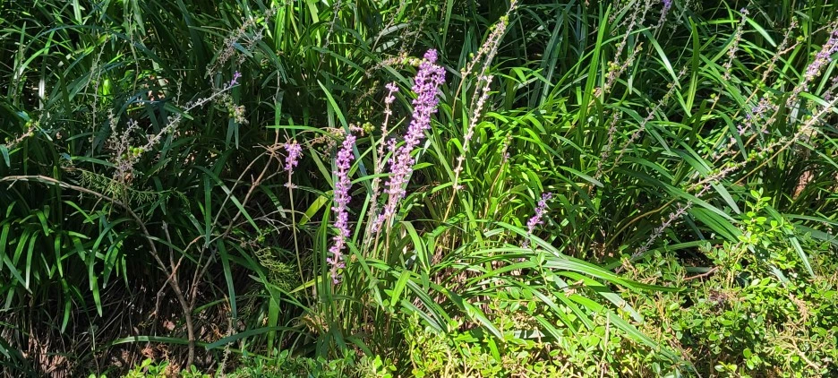 20200919_134501.jpg?type=w1