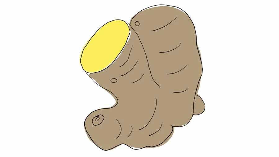 IMG_1095.jpg?type=w1