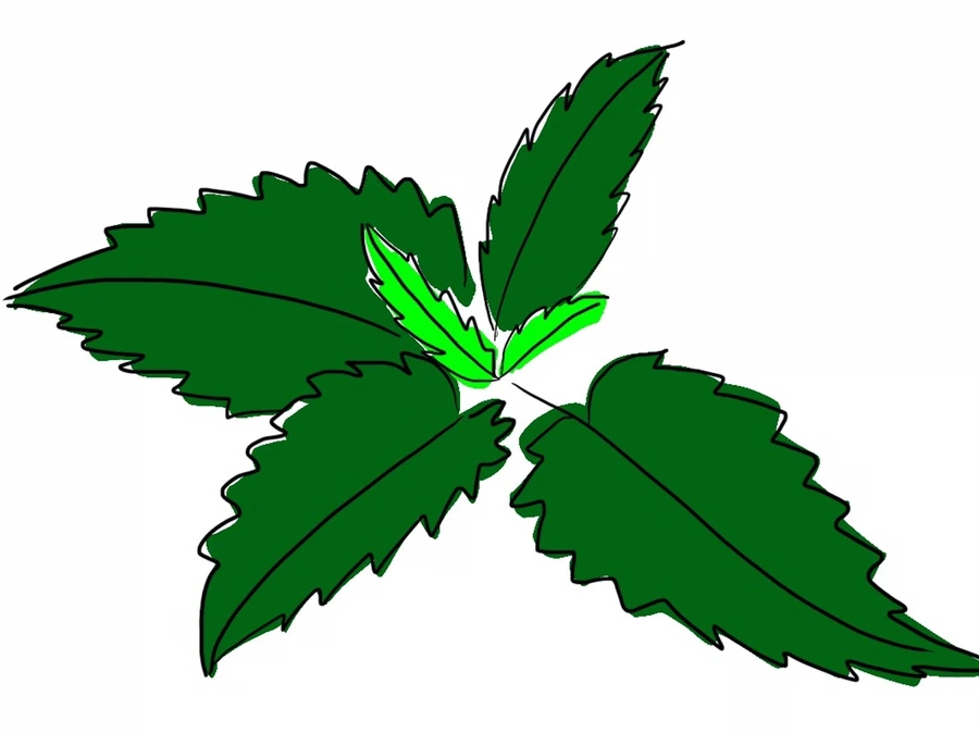 IMG_1070.JPG?type=w1