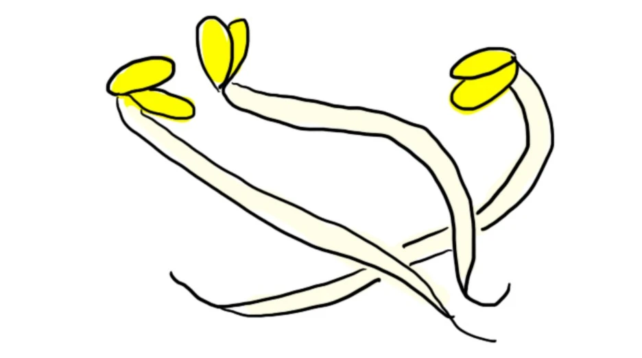 SE-134ec72c-e2fc-4fd3-8347-c8ccbff97a81.jpg?type=w1