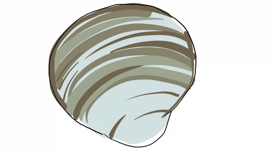 IMG_1117.JPG?type=w1