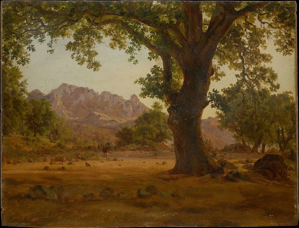 Oak Tree in a Mountainous Landscape.jpeg