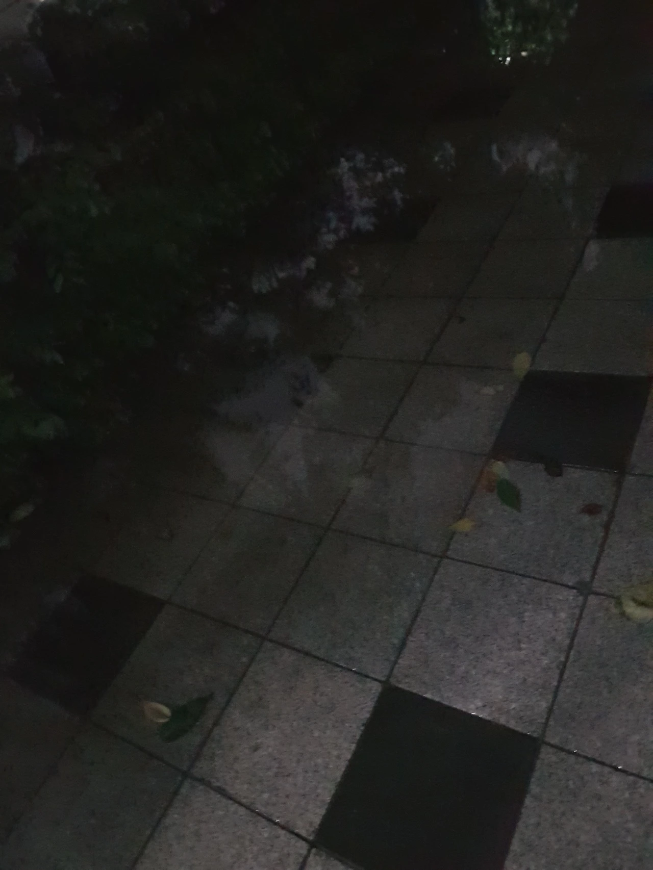 다운로드 (2).jpeg