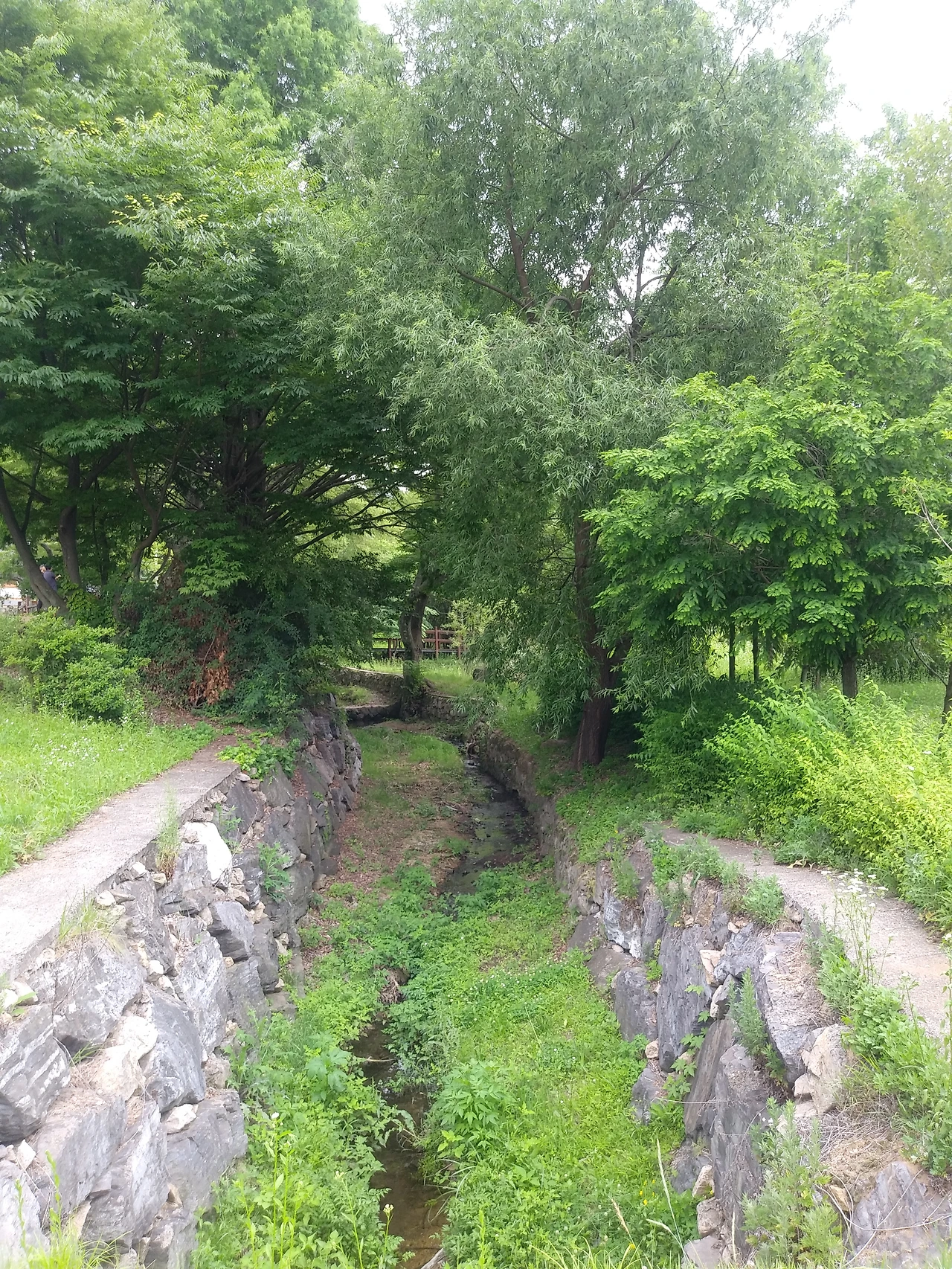 은평한옥마을 _맹꽁이 습지_김인아.JPG