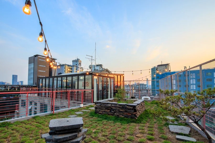 1%EB%9D%BC%EC%9A%B4%EC%A7%80%EB%AC%BC%EB%9E%91_%ED%99%8D%EB%8C%80%EC%83%81%EC%88%98%ED%95%A9%EC%A0%95%ED%8C%8C%ED%8B%B0%EB%A3%B83.jpg?type=w1200