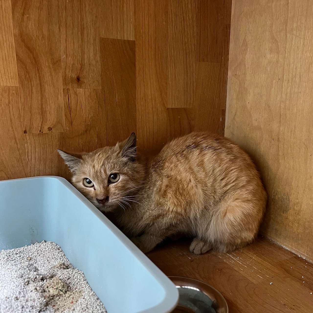 KakaoTalk_Photo_2024-05-20-22-48-35 011.jpeg