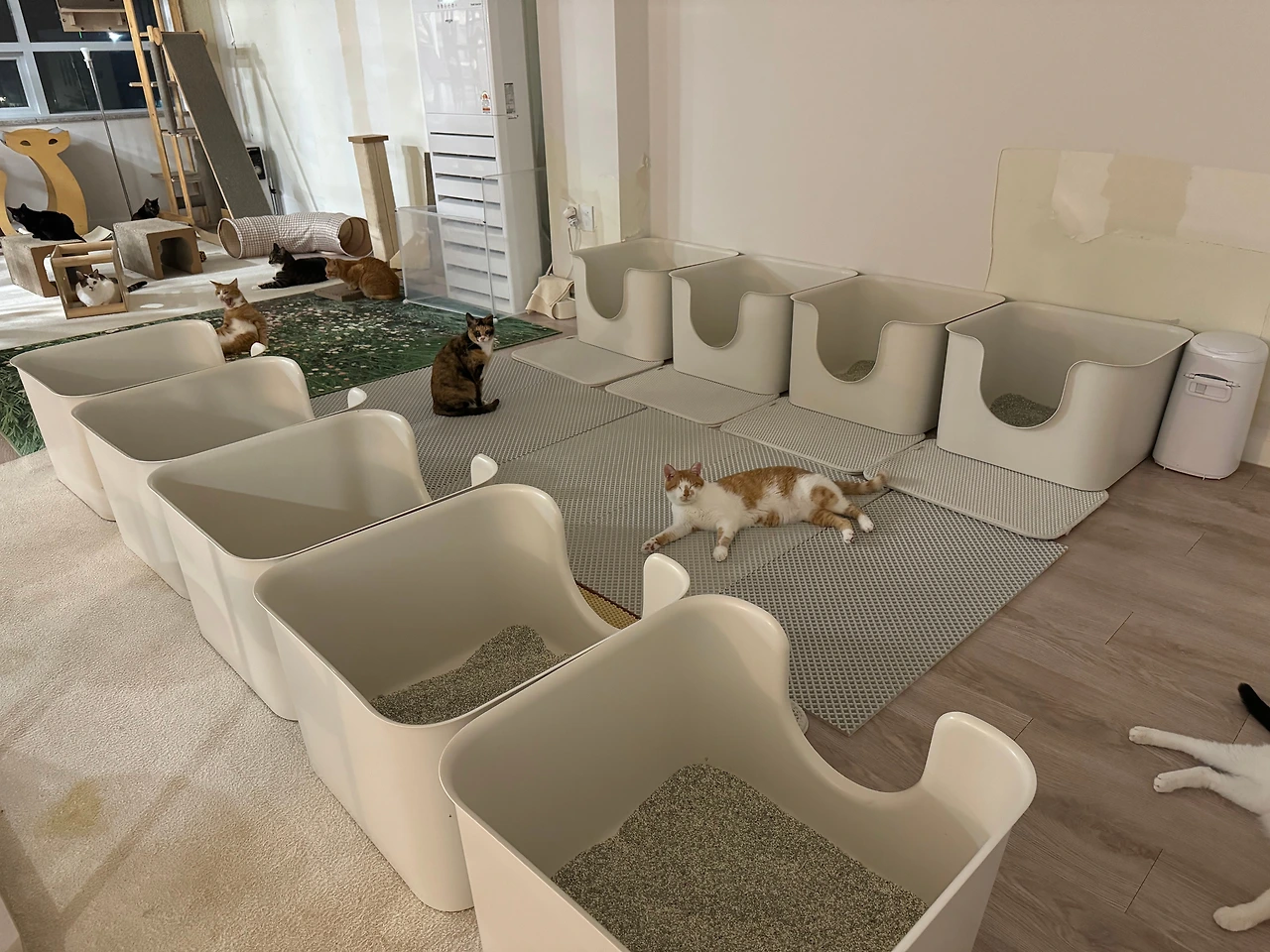 KakaoTalk_Photo_2024-09-09-21-45-26 002.jpeg