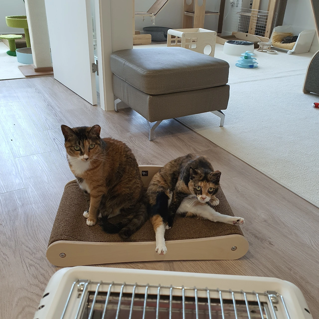 KakaoTalk_Photo_2024-09-02-23-11-02 010.jpeg