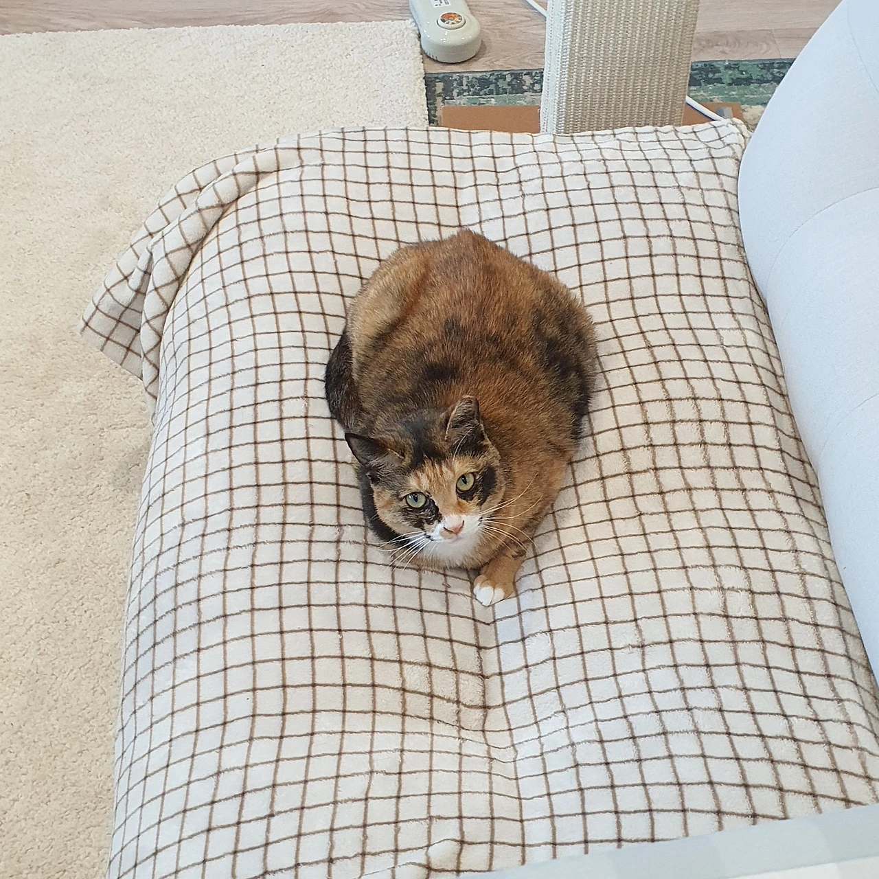 KakaoTalk_Photo_2024-09-02-23-11-01 007.jpeg