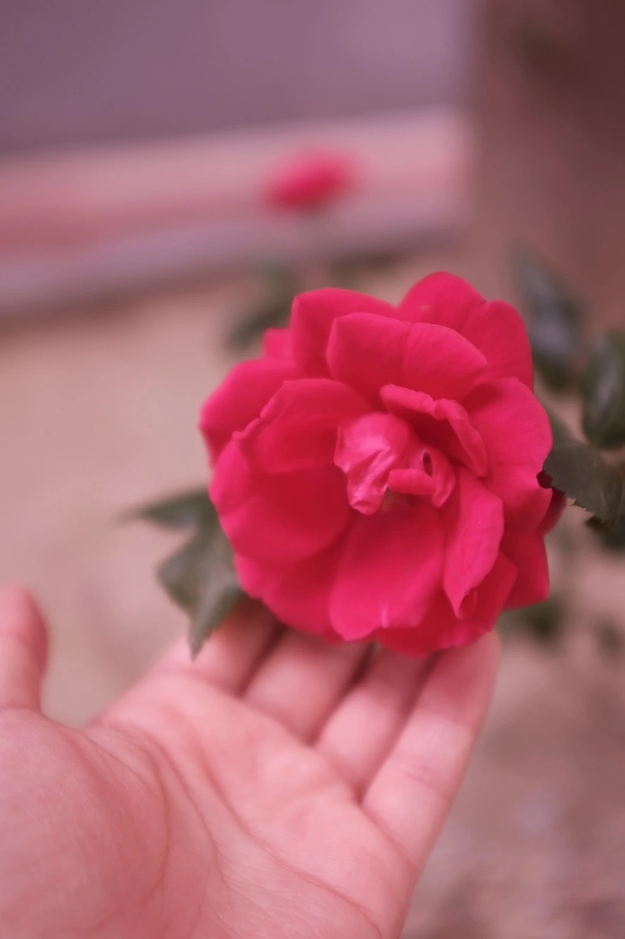 KakaoTalk_Photo_2022-05-21-11-41-39 004.jpeg