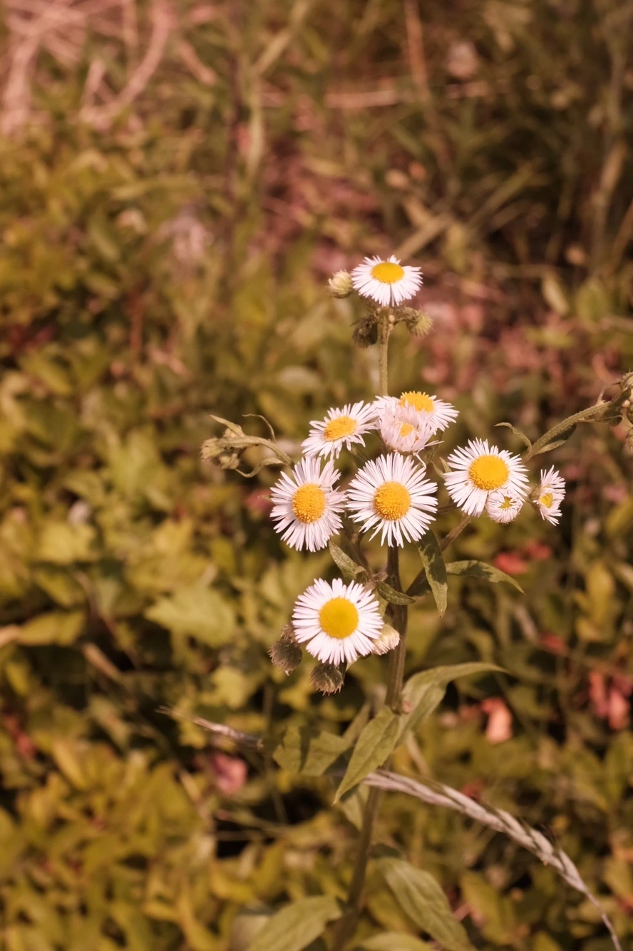 KakaoTalk_Photo_2022-05-21-11-41-38 001.jpeg