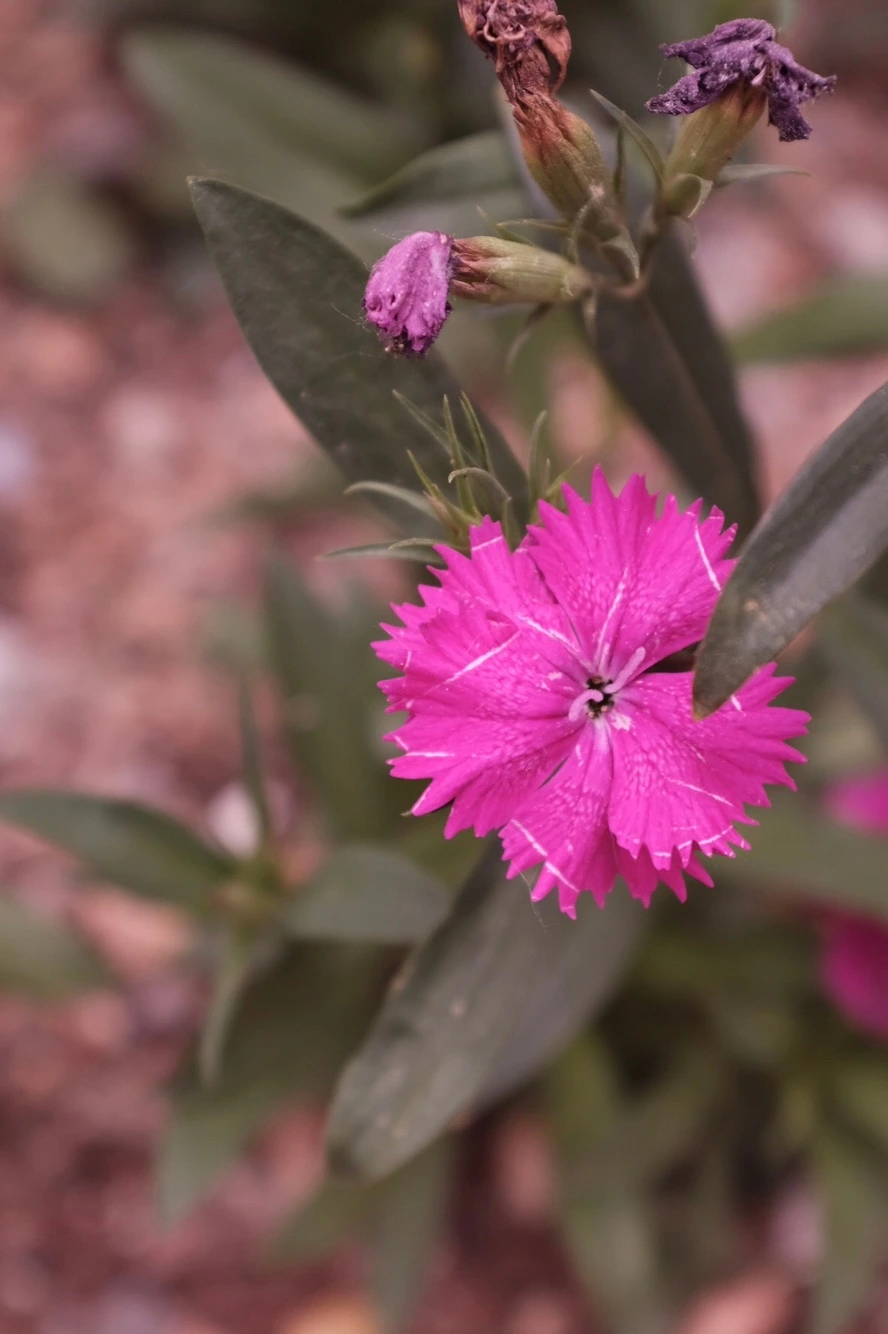 KakaoTalk_Photo_2022-05-21-11-41-39 002.jpeg