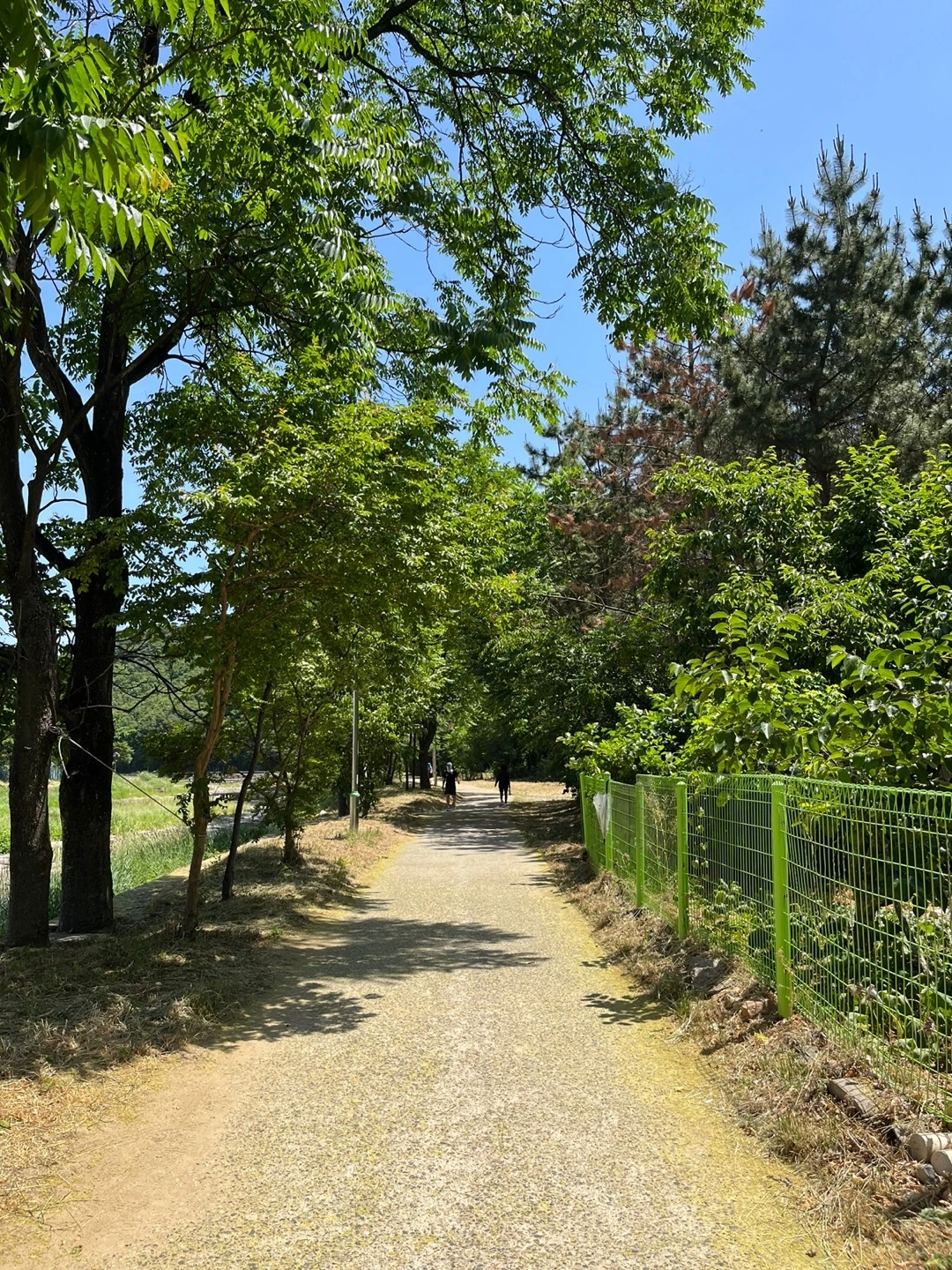 KakaoTalk_Photo_2022-06-02-14-31-28 001.jpeg