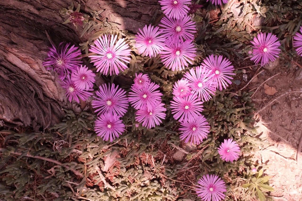 KakaoTalk_Photo_2022-05-21-11-41-39 003.jpeg