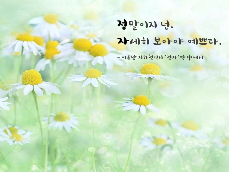 %EC%8A%AC%EB%9D%BC%EC%9D%B4%EB%93%9C2.PNG?type=w773