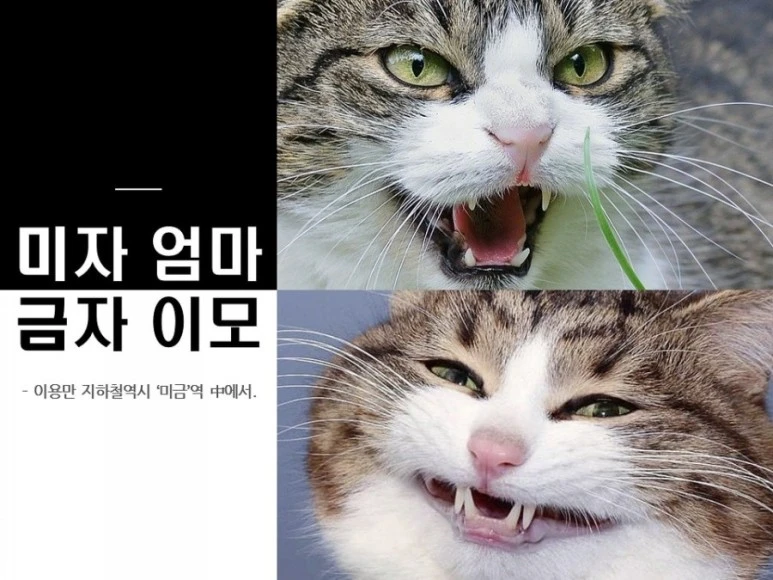 1583196441905.jpg?type=w773