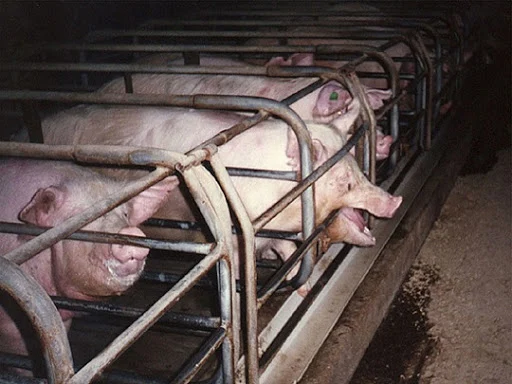 B7zT7HVHxQezj1RwHJCeYtekUJfcdM0G9CdU0iV-hWOR7V9Uul4fpKuwsVF5aPecIKgaMZmpHdIMXJeixlErXbDigJMKrd6hK_yVogxILEcsx01LrOAwaydncRlWr0l9wss5B6eLQSDHhUF6TCPaL-D0UvpKsx4R1FO_skvzTg